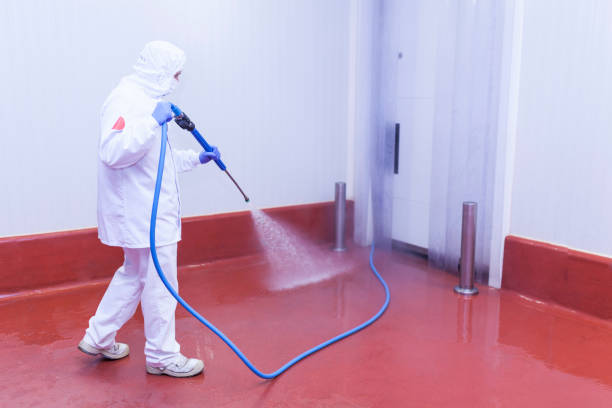 Best Playground Equipment Cleaning  in West Peoria, IL